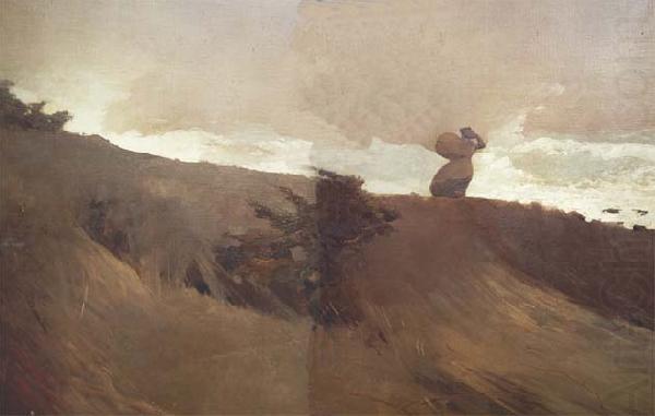 Winslow Homer West Wind (mk44) china oil painting image